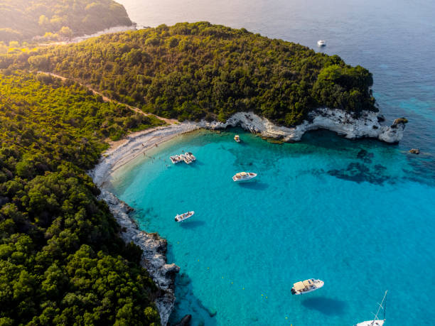 Mediterranean